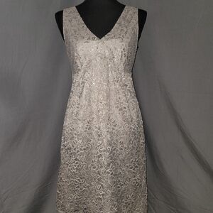 The Limited Silver Lace Dress